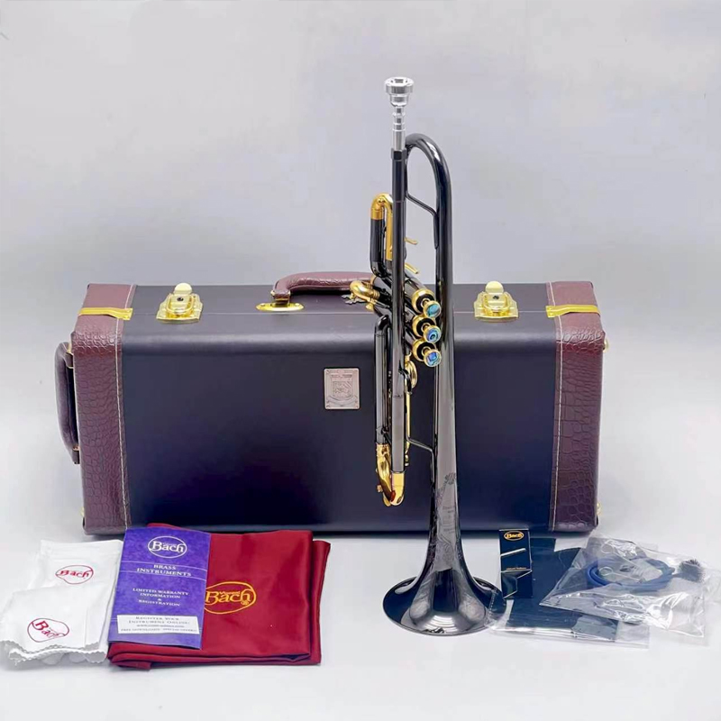 Musical Instrument Bugle - Trompet Stradivarius 37 Anniversary Silver Trompetpijp
