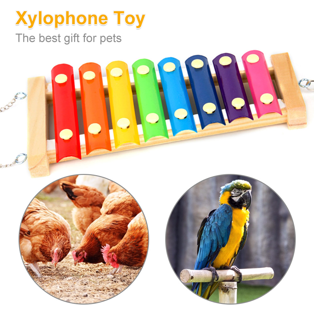 Vogel Kip Xylofoon Speelgoed H - Musical Instrument Harmonium recensie en prijs