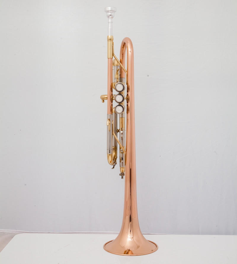 Professionele C-trompet Muziek - Musical Instrument Bugle recensie en prijs